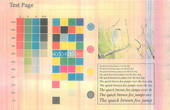 柯尼卡美能達(dá)彩色復(fù)印機(jī)C364打印彩色效果圖-科頤辦公